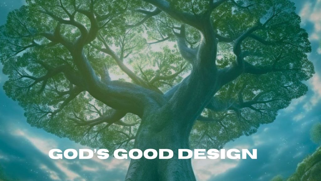 God’s Good Design: Women and Men in the Church, Chris Nicholson